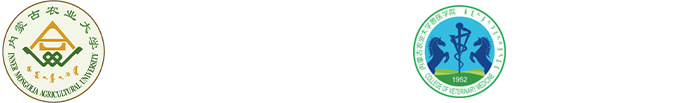 必一运动
